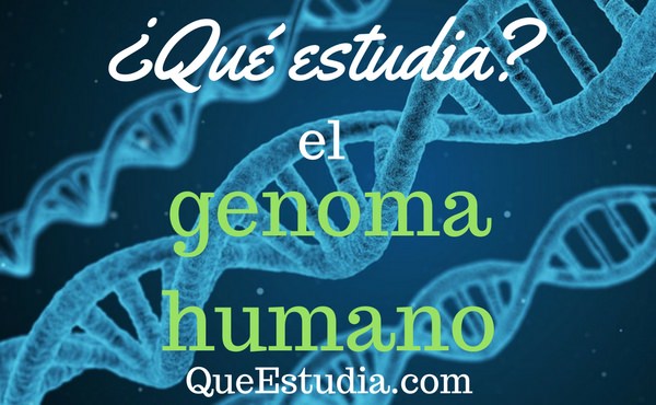 que estudia el genoma humano