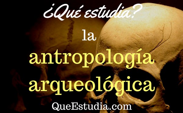 que estudia la antropologia arqueologica