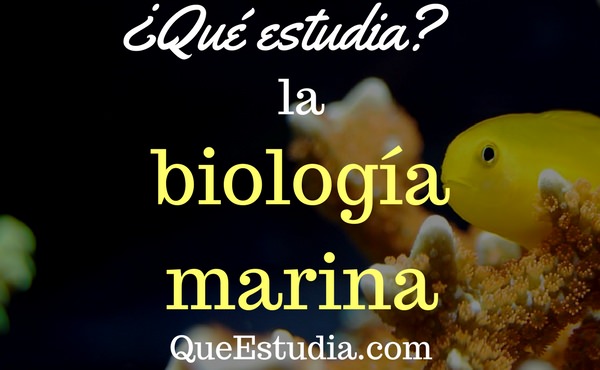 que estudia la biología marina