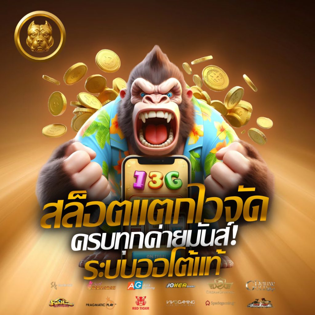 betdog